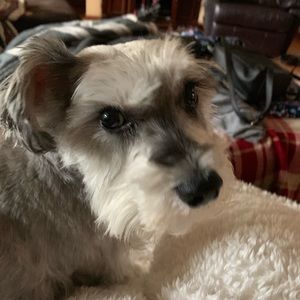 Meet your Posher, Wendy